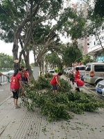 鲤城区审计志愿者参与“莫兰蒂”灾后环境清理工作 - 审计厅