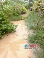 漳州：水闸损坏海水倒灌 数十亩农田1天淹2次 - 新浪