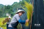 永泰中洲村：时光复刻的桃花源 - 福州新闻网