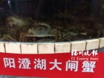 今年阳澄湖大闸蟹产量减少　在榕价格上涨两三成 - 福州新闻网