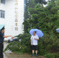风雨中的坚守：院领导带队检查防抗“鲇鱼”台风工作 - 福州英华职业学院