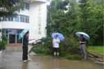 风雨中的坚守：院领导带队检查防抗“鲇鱼”台风工作 - 福州英华职业学院