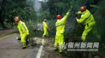 台风“鲇鱼”过后，罗源志愿者在行动 - 福州新闻网