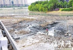 福州琴亭湖清淤试用干化新工艺　未来将推广 - 福州新闻网