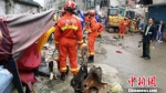 温州房屋倒塌救援现场。　杨青 摄 - 福建新闻