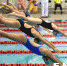 市运会游泳比赛竞争激烈　全面开花屡破纪录(图) - 福州新闻网
