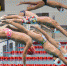 市运动会游泳比赛已落幕　14人32次打破12项纪录 - 福州新闻网