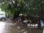 晋广幼儿园旁垃圾一个多月未清理　孩子健康堪忧 - 福州新闻网