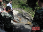 漳州一蟒蛇被困2米深蓄水池 消防成功将其带出坑 - 新浪
