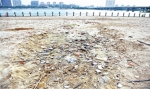 闽江公园金沙园沙中混杂建筑垃圾　沙层最浅13厘米 - 福州新闻网