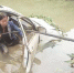 漳州一女司机开车不慎掉入水库 消防民警紧急救助 - 新浪