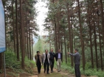 刘亚圣副厅长赴省属林场调研林业有害生物防治工作 - 林业厅