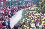 福州：西湖菊展首周末 超八万游客参观 - 新浪