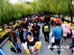 8万人昨日西湖公园赏菊 菊展将持续至本月28日 - 福州新闻网