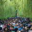 金秋菊展在福州举行　游客“扎堆”西湖公园赏菊 - 福州新闻网