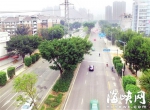 全民动员绿化福州！市民建议多建绿化分车带(图) - 福州新闻网