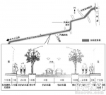 福州西洪路今天开始拓宽改造　大树将留作分车带 - 福州新闻网