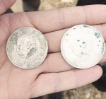 漳州一老宅挖出百枚古钱币遭哄抢 有人带金属探测器 - 新浪
