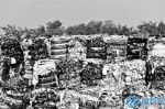 “中国鞋都”日产100多吨废料 晋江陷垃圾处理困境 - 新浪