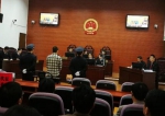 李小璐被网络诈捐案宣判 被告人获刑三年九个月 - 新浪