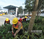 福州地铁站绿化景观建设竞赛启动 将植绿8万平米 - 新浪