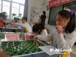省高仕足球棋大赛落幕　足球棋1998年诞生于福州 - 福州新闻网