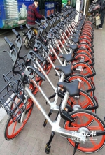 共享单车：人人自律　才能共享 - 福州新闻网
