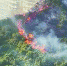 ▼仙岳公园起火。（网络图片） - 新浪