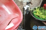 漳州一村民家里水龙头流出水蛭 水源竟是自来水站 - 新浪