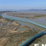 闽江口湿地建成水鸟巡护步道　全长可达700多米 - 福州新闻网