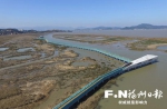 福州闽江口湿地建成水鸟巡护步道 全长达700多米 - 新浪