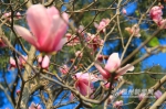 春暖花开好“福”气　清风送来“福州蓝” - 福州新闻网