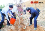 龙岩市领导参加义务植树活动 - 林业厅