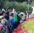 晋安区园林科普亲子游在金鸡山公园开展 - 福州新闻网