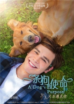 宠物版“三生三世”《一条狗的使命》票房口碑爆棚 - 福州新闻网