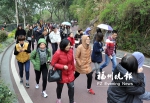 三八节晋安在金鸡山举办健步走活动　为绿化福州出力 - 福州新闻网