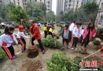 福州校园开展“大手牵小手　播种绿色”植树活动 - 福州新闻网