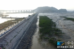 罗源北山村：渔村夕照红树林蔚为　湿地生态获修复 - 福州新闻网