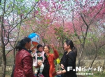 “花漾”新农村 等你踏青来赏春 - 福州新闻网
