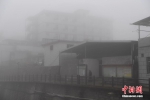 福州山区大雾弥漫　宛如仙境 - 福州新闻网