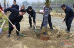 龙海干部职工义务植树 助力美丽乡村建设 - 文明