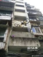 福州：共享单车被挂在高压线上 疑从楼上被丢下 - 新浪