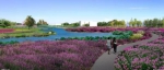 漳州372亩英桥花海即将开放 一年四季都有花盛开 - 新浪