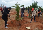 省司法厅直属机关组织志愿者赴平潭开展植树活动 - 司法厅