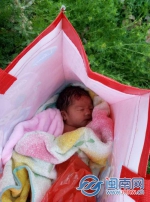 泉州一女婴被遗弃路边草丛中 出生不到9个小时 - 新浪