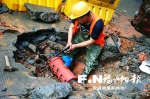 杨桥西路与高安路交叉口水管破裂　抢修人员马上修复 - 福州新闻网