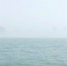 　　海警官兵拍到的出现在黄厝海域的海市蜃楼图。 - 新浪