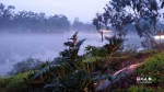 昨日傍晚，西湖水面被雾气覆盖，宛若人间仙境。读者 秦阳 摄 - 新浪