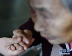 养老产业：从“老有所养”到“老有颐养” - 福州新闻网