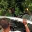 漳州一辆小车撞树侧翻汽油泄露 两老人被困 - 新浪
